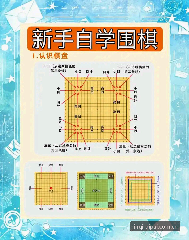 新手自学 vs 专业指导：棋牌新手指南的两种路径深度对比