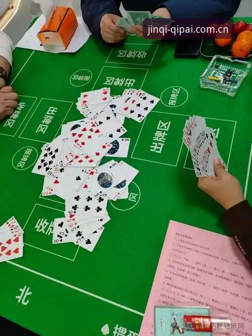 棋牌专业赛事 棋牌专业赛事vs自娱自乐:为什么高手都选51棋牌平台?
